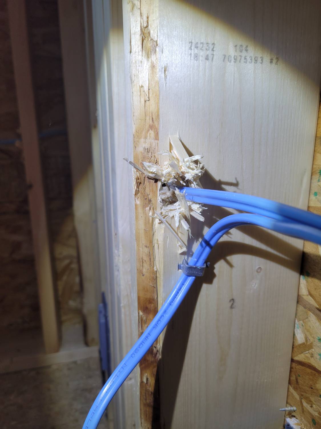 An electrical conductor shown dangerously close to the edge of the framing, noted on a new build home inspection.